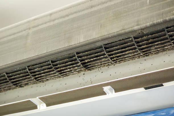 Best Air Duct Sanitization & Disinfection in Plains, KS